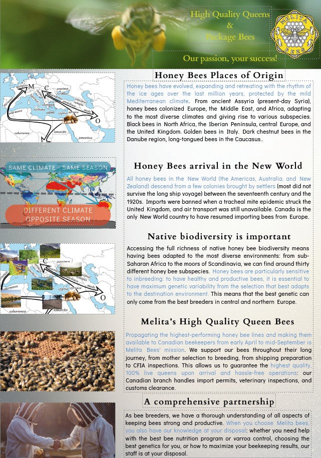 Infographic about honey bees, their places of origin, and Melita's high-quality queen bees.  Commitment to Quality, Partnership with a variety of beekeepers, providing a wide variety of queens for diverse climate and purpose.