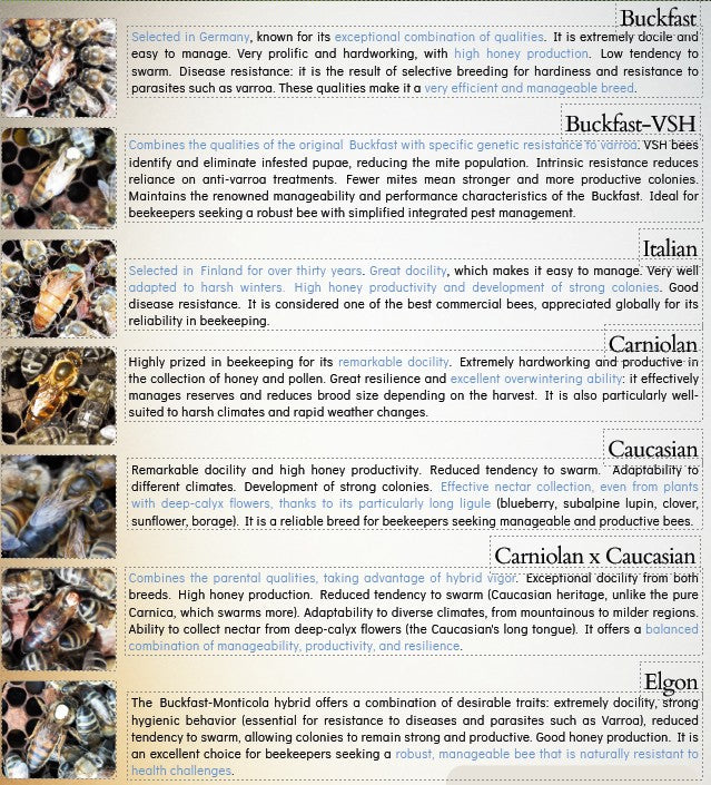 Description of each of the variety of queens provided by Melita for different climates and purpose.